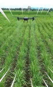 ปุ๋ยน้ำแกรมม่าทู (1000 ซีซี) ปุ๋ยน้ำที่ช่วยใบเขียวเข้ม แตกใบอ่อน รากเดิน แตกกอใหญ่ เร่งดอก เร่งผลผลิต กรดอะมิโน18 ชนิด ใช้บำรุงพืชได้ทุกชนิด