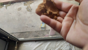 WHOSALE 1KG Pure Zuriat Powder 100% Natural  | Premium Dried Zuriat Fruit Powder No Additives| TTC Journey