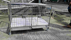 ONHAND 2×3×2 STAINLESS dog cage 2 doors 2 brace