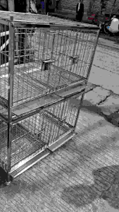 ONHAND FREE REMOVABLE WHEELS 2×3×2 2layer total of 4doors and 2brace per cage stainless 304 cage stainless pooptray