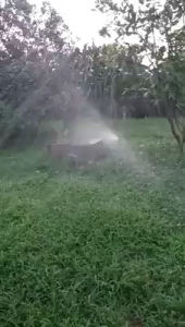 Béc tưới phun mưa cánh đập nhập khẩu