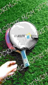 Bet Tenis Meja | Bat Ping Pong Butterfly 831 CVR