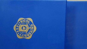 Diploma holder with plastic inside both sides