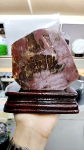 Natural Madagascar High Gred Petrified Wood/Tree Jade Slice Ornament MPT05