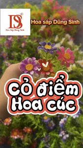 [ C436 ] ( Sỉ 1kg ) Cỏ điểm hoa cúc hoạ mi đủ màu trang trí  bó hoa hộp quà decor