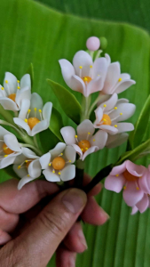 ดอกไม้เสียบผม ดอกรวงผึ้ง ดอกไม้ประดิษฐ์จากดินไทย - ดูแลรักษาและเสถียรเพื่อความสวยงามดอกไม้