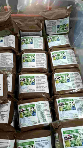 AGVM- Roasted Corn Coffee/Soybeans Powder