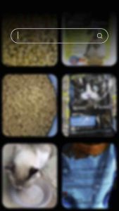 [1kg] Cat Food | Ecovet Royal Felinn | Makanan Kucing Premium Halal & Suci