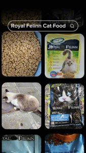 [7kg] Makanan Kucing Premium Royal Felinn Cat Food by Ecovet