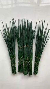 tangkai 5 cabang.jual per 1 lusin