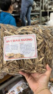(SALE KHỦNG 30%-60%) Dây đau xương rừng Điện Biên (1kg )-tốt cho xương khớp- Qùa Tây Bắc 27