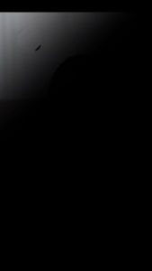 Scent-Sation LongLasting Airfreshener "FRESH BAMBOO-WHISPERING WOODS" Scent 250ml