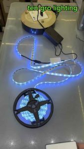 Megaplus RGB LED Strip 5050/60L 5 Meters C/w Remote Control Set