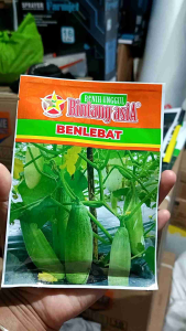 Benih Timun BENLEBAT 20 Gram Bintang Asia Mentimun Lalap
