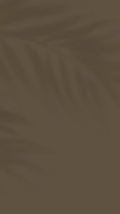 Swallow Oatmeal Soap