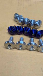HEATGUARD BOLTS 2 PCS STAINLESS GOLD AND SILVER