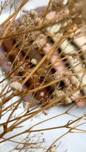 Yumna Fashion Kaos Wanita Rib Premium Lengan Panjang