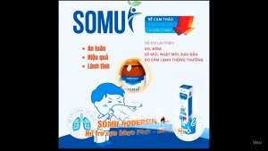SOMU HODERSIN Lọ 100ml - HT bổ phế ho long đờm & đau đầu nghẹt mũi từ Rễ Cam thảo & Toàn cây