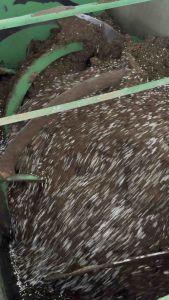 ดินปลูกกันชา มาตรฐานGACP ดินปลูก420 Super Premium Planting Soil ดินปลูกสมุนไพร ดินปลูกสายเขียว ดินปลูกออร์แกนิค บำรุงต้น ใบ ดอก 420 Premium Soil by PT Garden