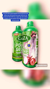 GAZA POLL GEDHE 500 ml Nutrisi spesialis tanaman bawang merah agar lebih sehat subur rimbun popor besar dan umbi besar