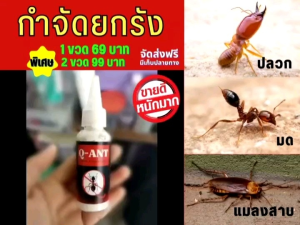 ยากำจัดมด ตายยกลัง