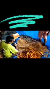 Termurah !!! Mesin Pemipil Jagung - Mesin Perontok pemisah Jagung Untuk Pertanian