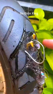 Vít vá lốp xe không săm cho ôtô xe tải xe máy xe điệnphụ tùng phụ kiện xe