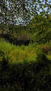 Gantungan HP Cute & Stylish: Lanyard & Strap Phone