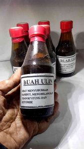 Treatment Rambut Buah Ulin Asli Kalimantan Tanpa Bahan Kimia
