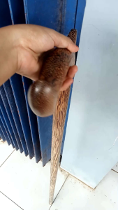 Tongkat jalan kayu liwung macan model cula