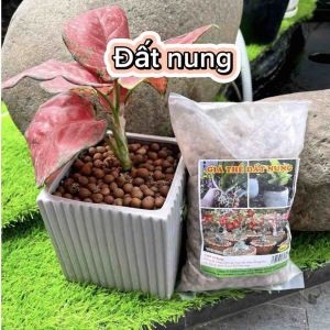 Viên đất nung hàng đẹp lót mặt chậu cây trồng