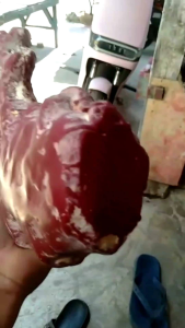 Gelang red coral asli koral marjan