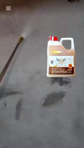 First Swiftlet Aroma 5 Liters 第一引燕素