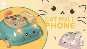 Telephone Toy Cat Kid Baby Toddler Cartoon Musical Music Song Box Educational Learning