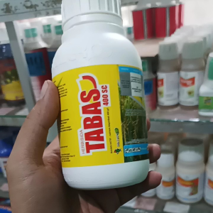 TABAS 400SC 200ml HERBISIDA | natrium bispiribak racun rumput tanaman padi sawah dan tabela