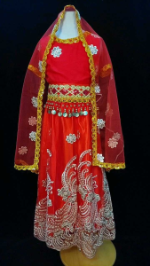READY STOCK Kids Children Indian Traditional Costume Arabian Belly Dance Costume Jasmine Disney Movie Character