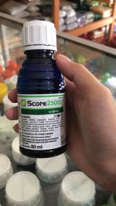 Score 250ec 80ml Fungisida Difenokozanol Mengendalikan penyakit pada tanaman