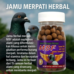 MBF Jamu Merpati Cepat Giring Keket isi 50 Pil dijamin paling ampuh dalam 1 hari