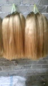 Cemara Tanpa Tulang Warna pirang - 70cm