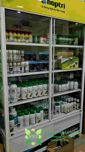 Micheo Nhật 700 chai 1 lít - Sản phẩm diệt mầm trên lúa