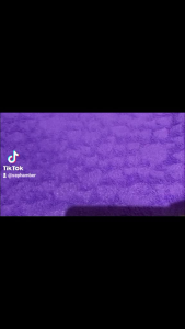 Snow white Headband and Ribbon clip