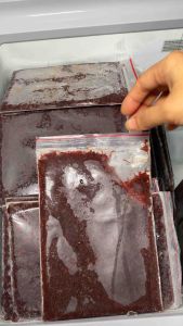 TRÙN HUYẾT ĐÔNG LẠNH( hàng loại 1 không nước) thức ăn dinh dưỡng cho cá cảnh (1000g gồm 5 túi 200g)giao hàng toàn quốc