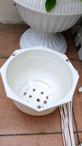 Combo 10 chậu 5 chậu treo tròn kèm móc treo đường kính 20cm