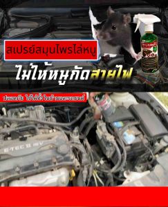 คุ้มค่าพร้อมรับประกันคุณภาพ 👍 น้ำยาไล่หนูในรถยนต์และภายในบ้าน สกัดจากสมุนไพรเข้มข้นพิเศษ ไล่พร้อมป้องกันในขวดเดียว มั่นใจว่ารถจะไม่มีหนู มารบกวน #ของแท้ #รับประกันหลังการขาย #ส่งด่วน #เก็บเงินปลายทาง