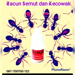 Racun Semut ampuhhh tak datang lagi!!