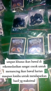 umpan ikan bawal siap pakai yg sudah di racik kluwek99