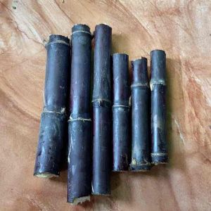 Jual batang tebu hitam atau tebu ireng 1 kg-az
