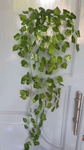 Daun Juntai daun rambat daun sulur daun artificial daun +pot gantung dinding