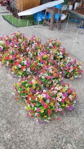 กระเช้าแขวนพร้อมดอกไม้ปลอม กระเช้าดอกผีเสื้อ กระเช้าดอกเดซี่มัมดอกไม้ประดิษฐ์ สวยเหมือนจริง