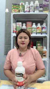 ราทอส เฮกซะโคนาโซล สารกำจัดโรคพืช เชื้อราในนาข้าว